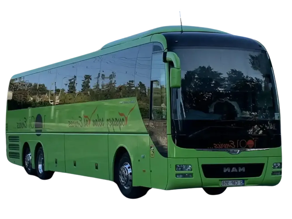 Mans Lion's Coach - 57