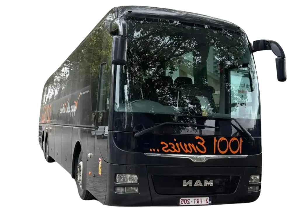 Mans Lion's Coach - 59