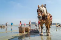 Oostduinkerke