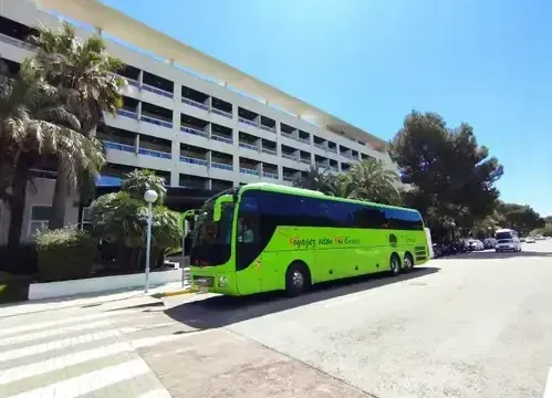 bus