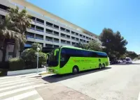 bus