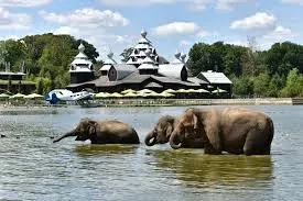 Pairi Daiza ( spécial Halloween ), le 26 octobre 2025