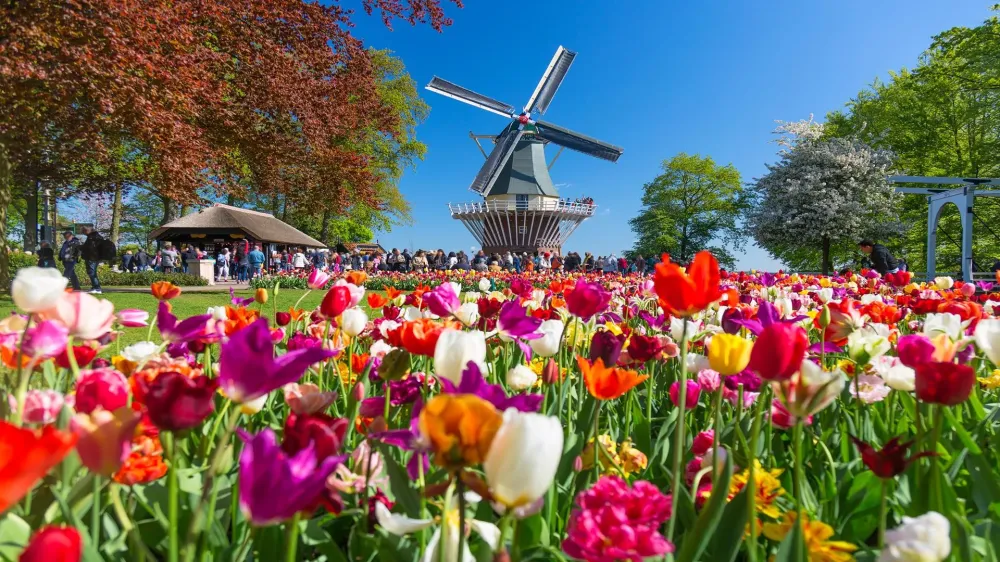Fête de la tulipe à Keukenhof, le 18 avril 2026