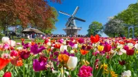keukenhof_gardens_trips