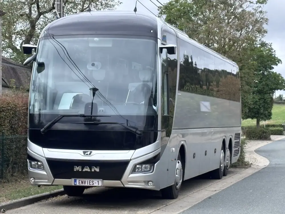 Mans Lion's Coach - 59